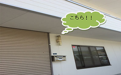 燕の巣があるところ